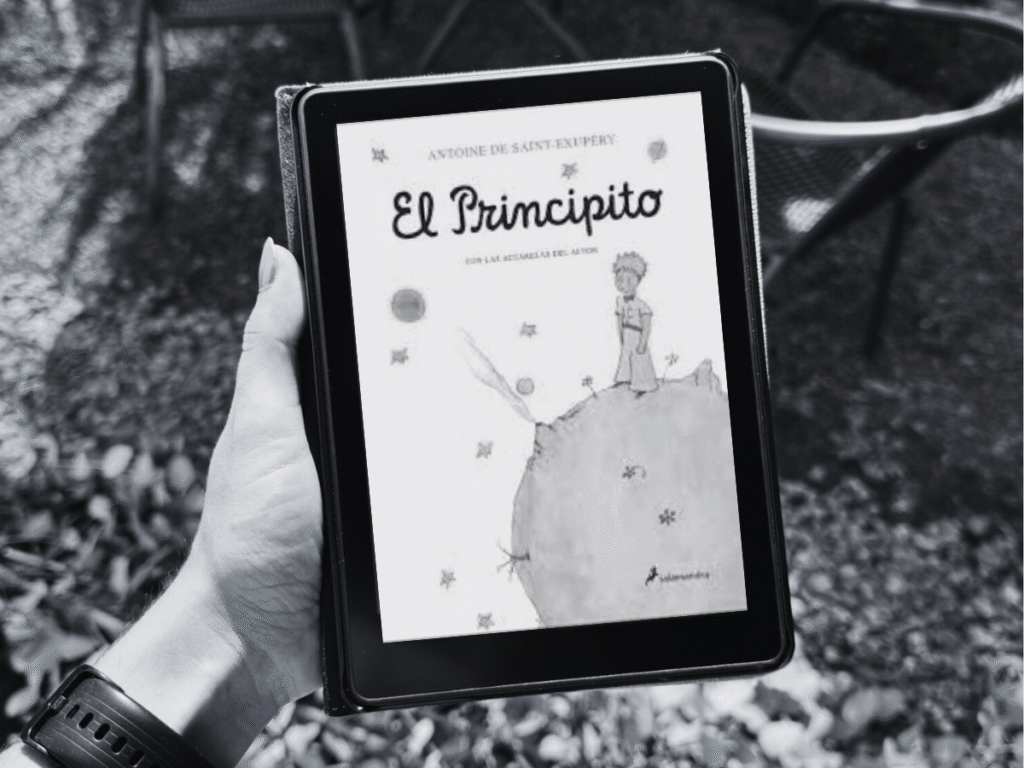 Cover blog Principito